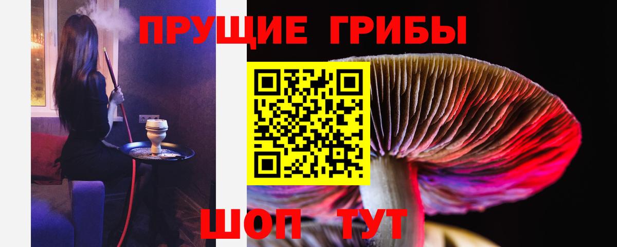 Псилоцибиновые грибы Psilocybe Мыски